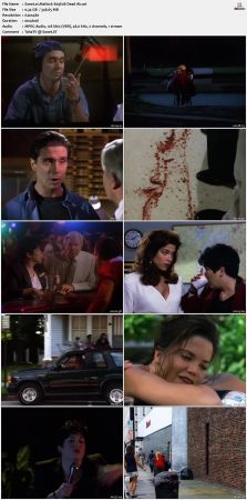 Matlock S09 DVDRip XviD-NOGRP