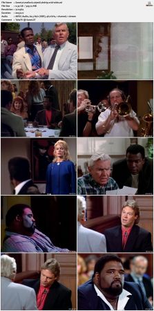 Matlock S05 DVDRip XviD-MIXED