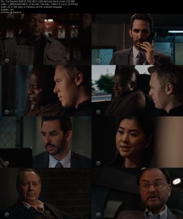 The Blacklist S09E20 720p HEVC x265-MeGusta