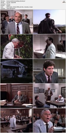 Matlock S06 DVDRip XviD-OSiTV