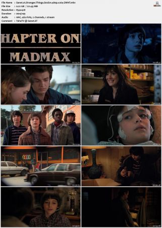 Stranger Things S02 480p x264-ZMNT