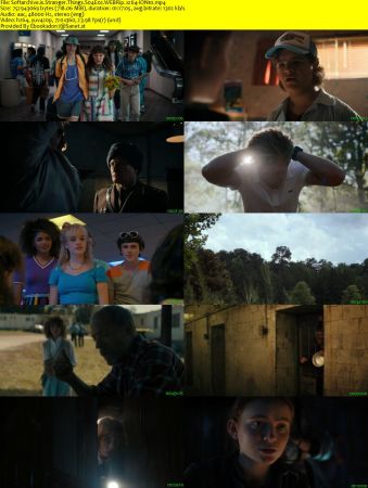 Stranger Things S04 Part 1 WEBRip x264-ION10