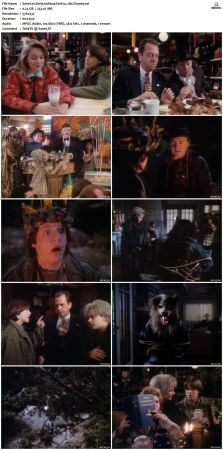 Eerie Indiana S01 DVDRip XviD-NOGRP