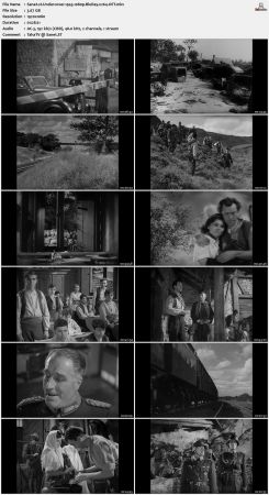Undercover 1943 1080p BluRay x264-OFT