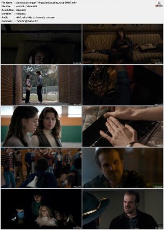 Stranger Things S01 480p x264-ZMNT