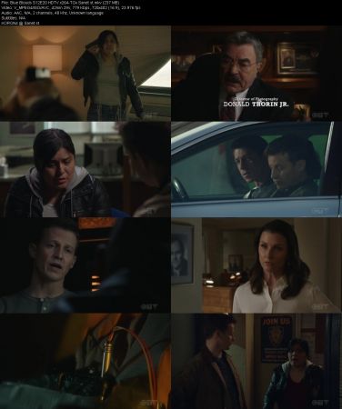 Blue Bloods S12E20 HDTV x264-TGx