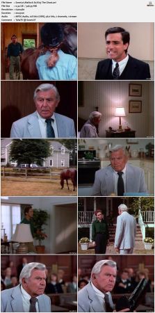 Matlock S07 DVDRip XviD-NOGRP