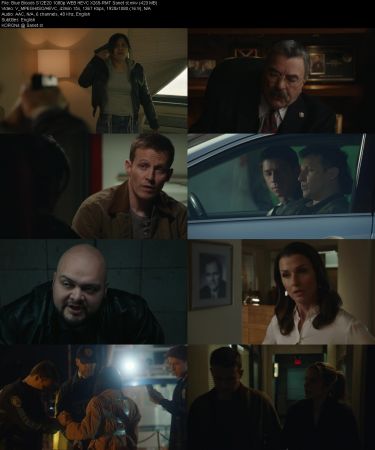 Blue Bloods S12E20 1080p WEB HEVC X265-RMT