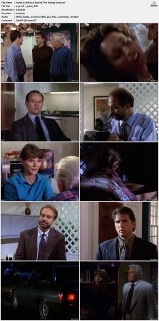 Matlock S09 DVDRip XviD-NOGRP