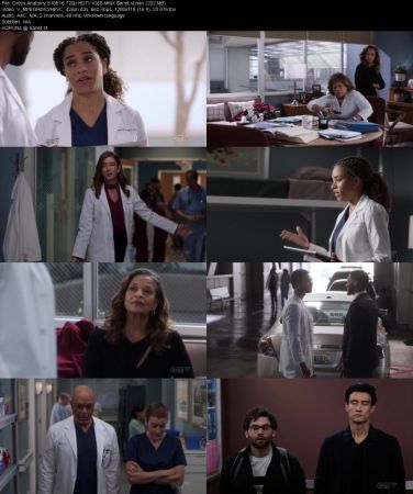 Greys Anatomy S18E16 720p HDTV x265-MiNX