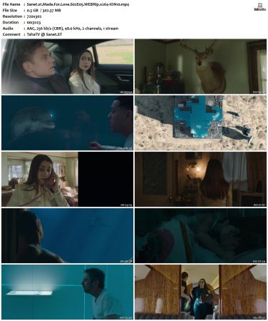 Made For Love S02 PROPER WEBRip x264-ION10