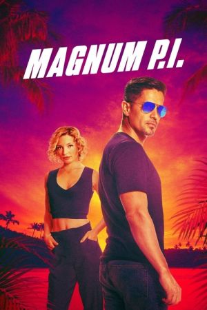 Magnum P.I. 2018 S04E20 1080p WEB HEVC X265-RMT