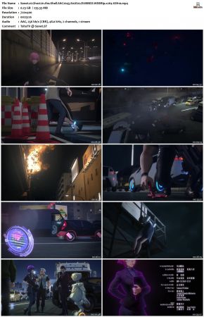 Ghost in the Shell SAC.2045 S02 DUBBED WEBRip x264-ION10