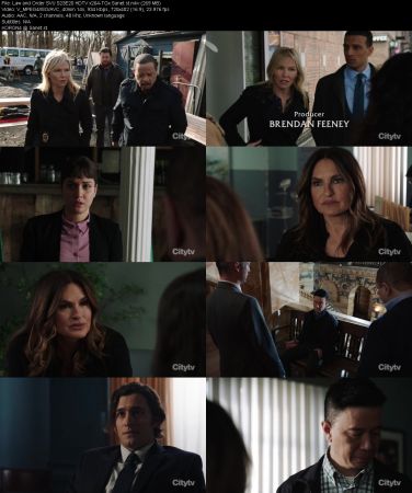 Law and Order SVU S23E20 HDTV x264-TGx