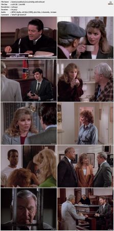Matlock S06 DVDRip XviD-OSiTV