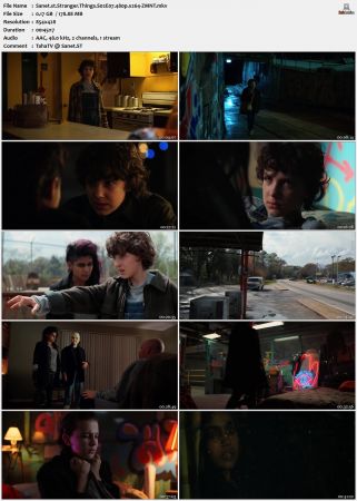 Stranger Things S02 480p x264-ZMNT
