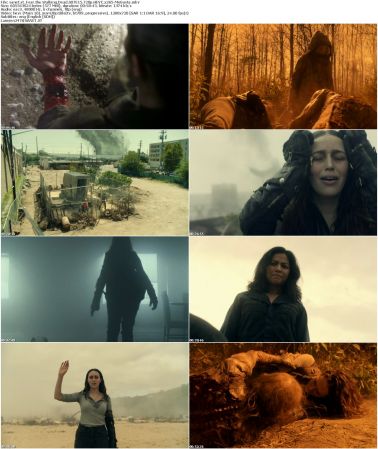 Fear the Walking Dead S07E15 720p HEVC x265-MeGusta