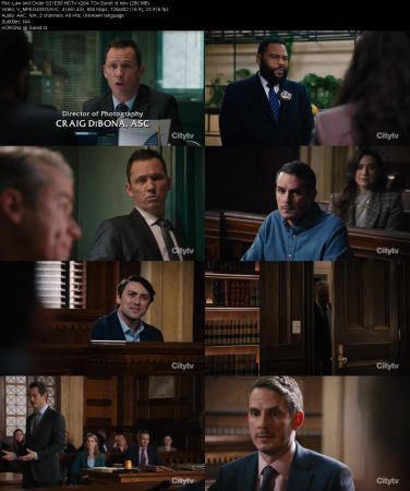 Law and Order S21E08 HDTV x264-TGx