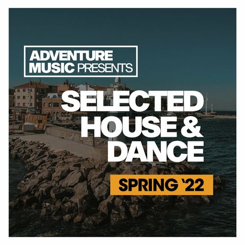 Various Artists - Selected House &amp; Dance 2022 (2022)