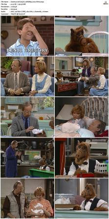 ALF S03 WEBRip x264-ION10