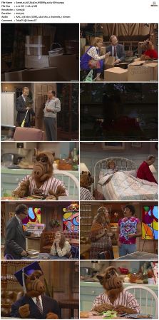 ALF S03 WEBRip x264-ION10
