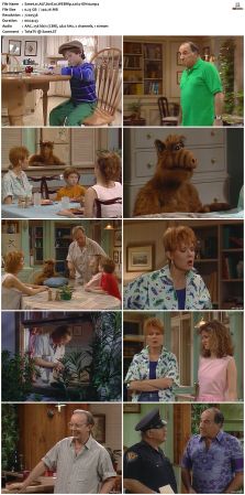 ALF S01 WEBRip x264-ION10