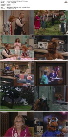 ALF S02 WEBRip x264-ION10