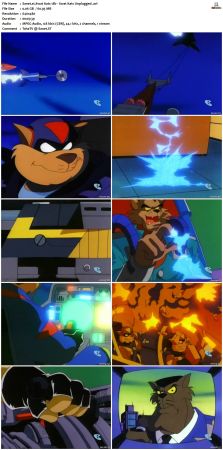 Swat Kats The Radical Squadron S02 DVDRip XviD-NOGRP