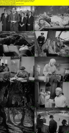 The North Star 1943 1080p BluRay H264 AAC-RARBG