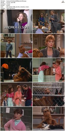 ALF S01 WEBRip x264-ION10