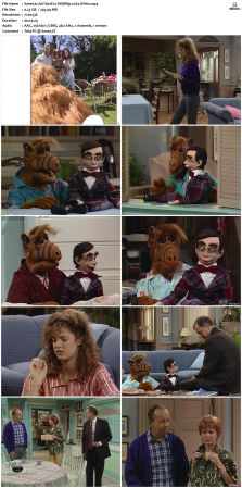 ALF S02 WEBRip x264-ION10
