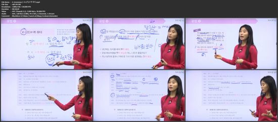 Korean Topik Grammar 4 - full course