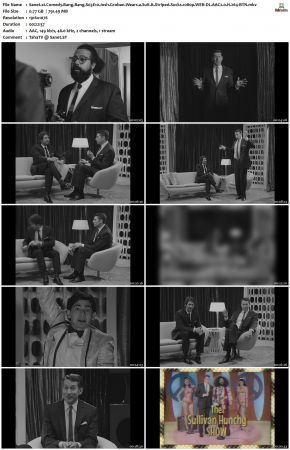 Comedy Bang Bang S03 1080p WEB-DL AAC2.0 H264-BTN