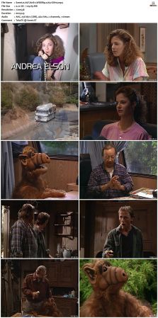 ALF S01 WEBRip x264-ION10