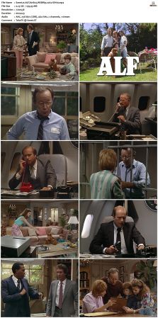 ALF S01 WEBRip x264-ION10