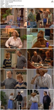 ALF S01 WEBRip x264-ION10