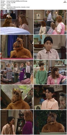 ALF S03 WEBRip x264-ION10