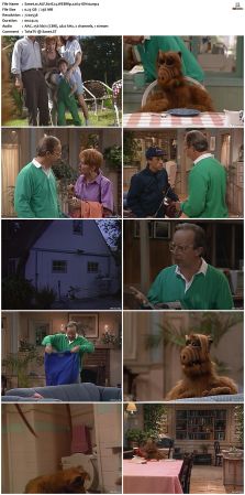 ALF S01 WEBRip x264-ION10