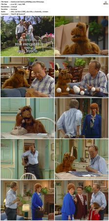 ALF S01 WEBRip x264-ION10