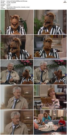 ALF S03 WEBRip x264-ION10