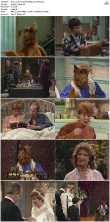 ALF S04 WEBRip x264-ION10