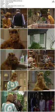 ALF S01 WEBRip x264-ION10