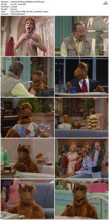 ALF S02 WEBRip x264-ION10