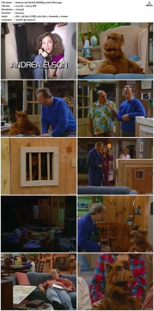 ALF S01 WEBRip x264-ION10