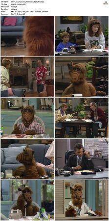ALF S02 WEBRip x264-ION10