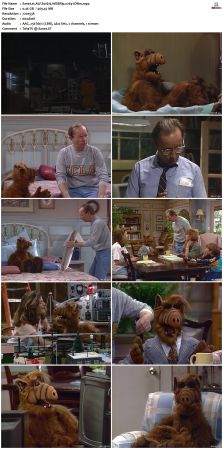 ALF S01 WEBRip x264-ION10