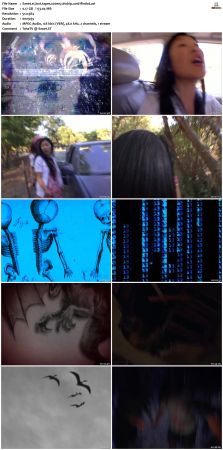 Lost Tapes S02 DVDRip XviD-FFNDVD