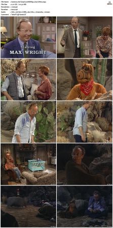 ALF S04 WEBRip x264-ION10