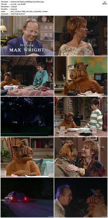 ALF S04 WEBRip x264-ION10
