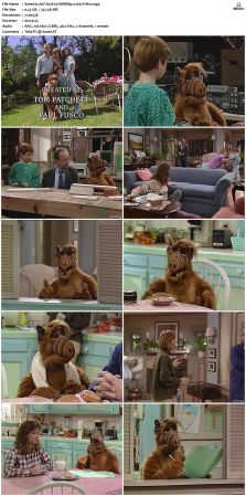 ALF S02 WEBRip x264-ION10